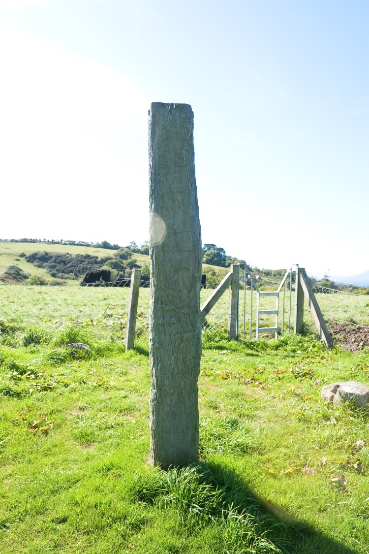 kilnaruane_shaft_se_face_2009_09_11