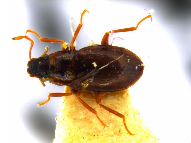 EB98BA4C8FAF9CB7A4A3E7C3BD4CE48CF55AF051C8BB4021278929D4BDA1B743__large