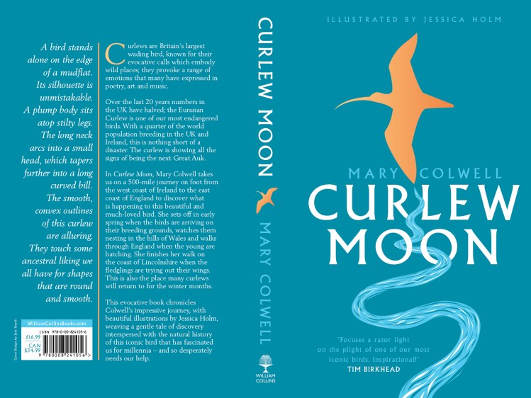 cover curlew moon